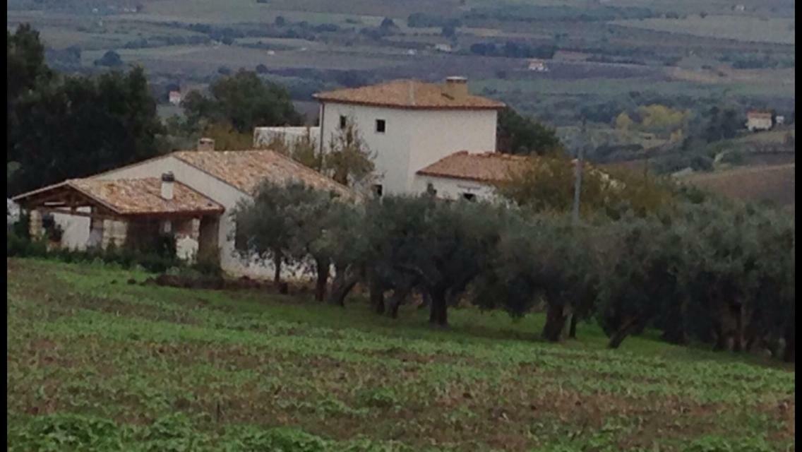 Villa Angiolina, Molise Guglionesi Εξωτερικό φωτογραφία